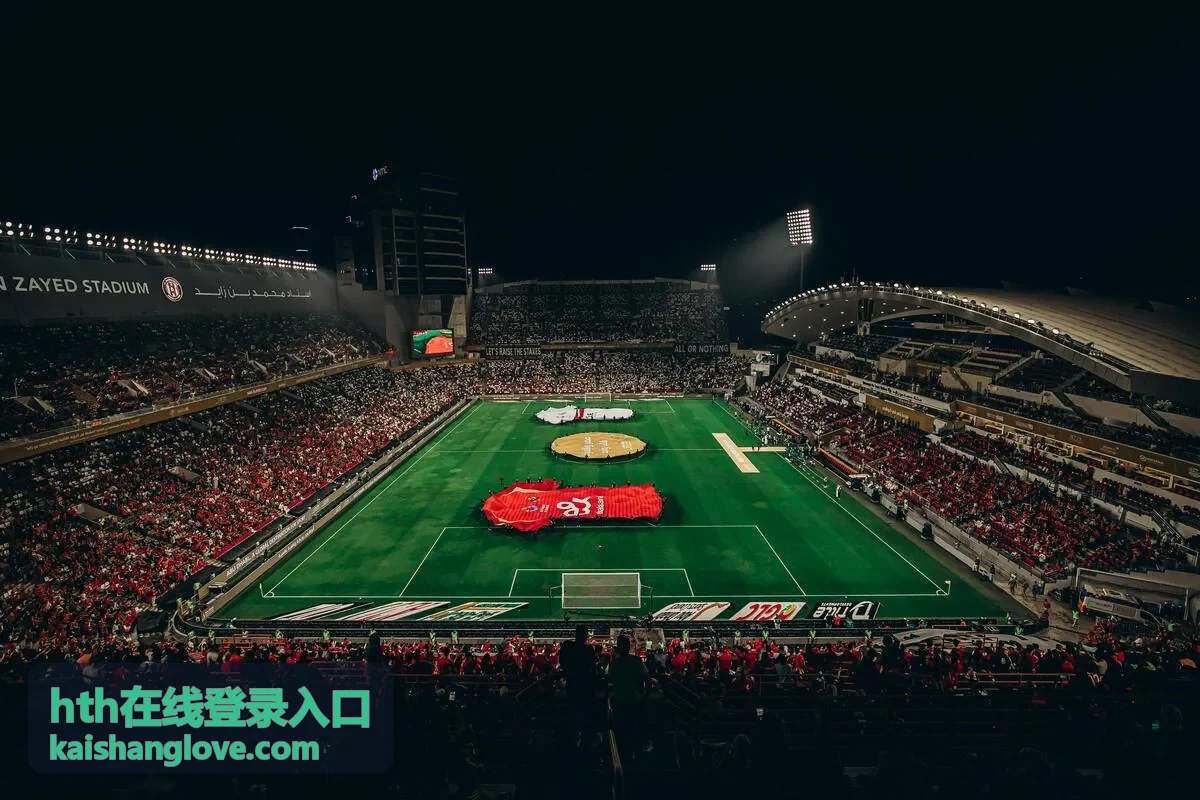hth在线登录入口的账号安全与访问权限检查示意