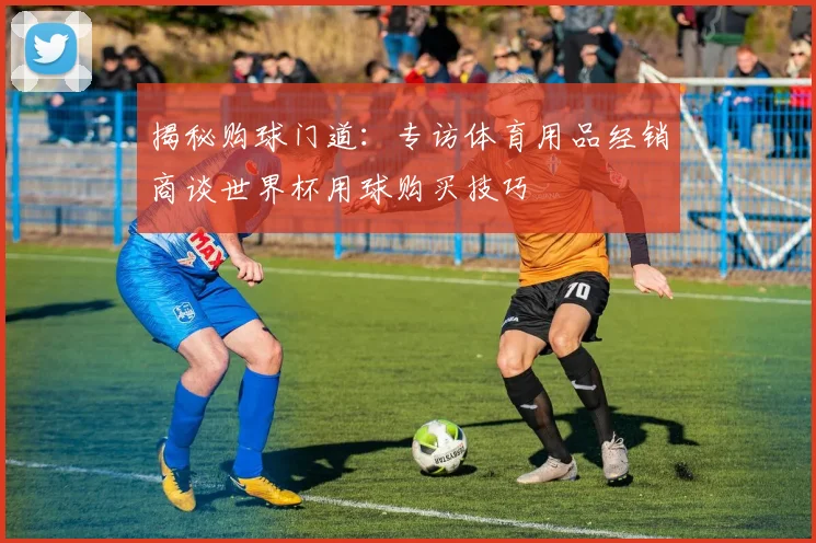 揭秘购球门道：专访体育用品经销商谈世界杯用球购买技巧