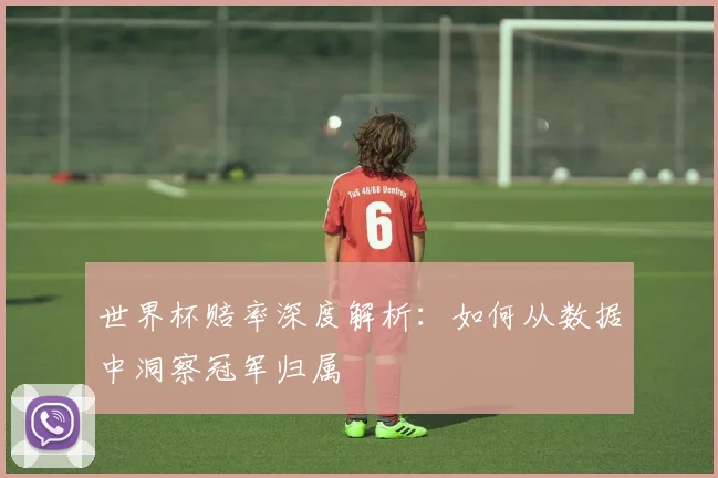 世界杯赔率深度解析：如何从数据中洞察冠军归属