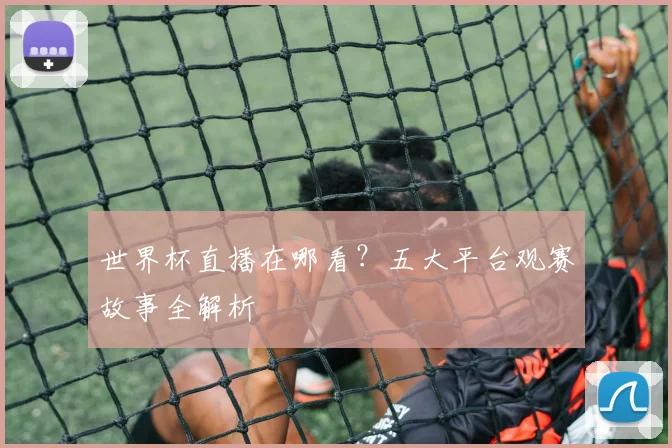 世界杯直播在哪看？五大平台观赛故事全解析