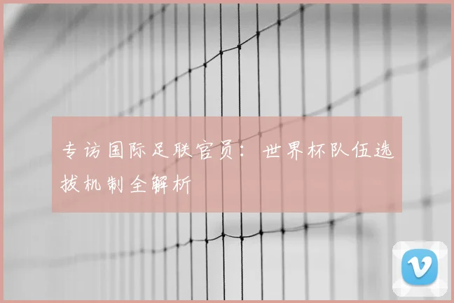 专访国际足联官员：世界杯队伍选拔机制全解析