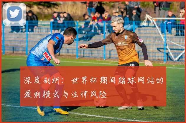 深度剖析：世界杯期间赌球网站的盈利模式与法律风险