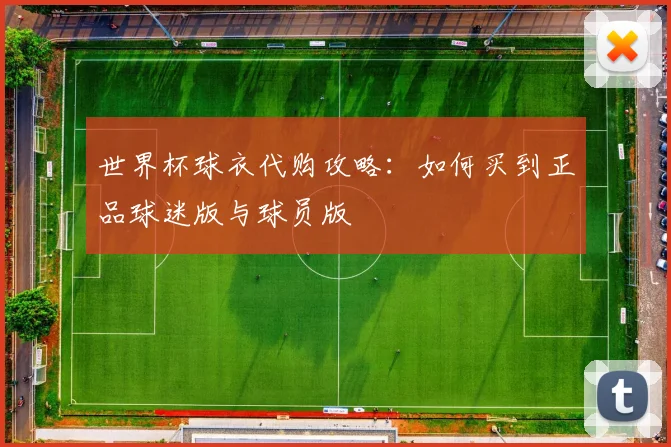 世界杯球衣代购攻略：如何买到正品球迷版与球员版