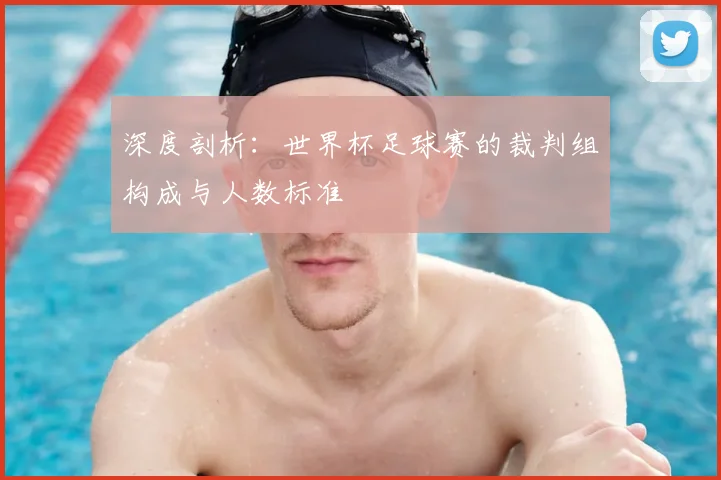 深度剖析：世界杯足球赛的裁判组构成与人数标准