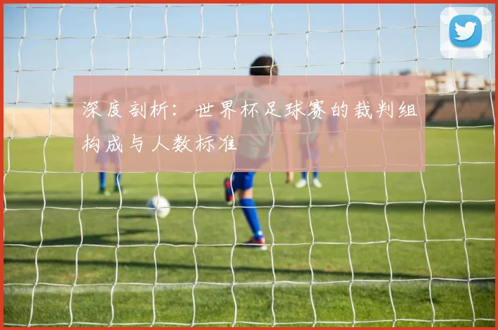 深度剖析：世界杯足球赛的裁判组构成与人数标准