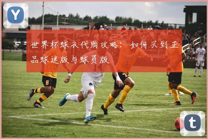 世界杯球衣代购攻略：如何买到正品球迷版与球员版